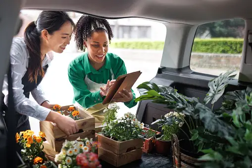 Cart and Vegetable vans